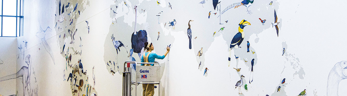 A woman painting birds on a mural